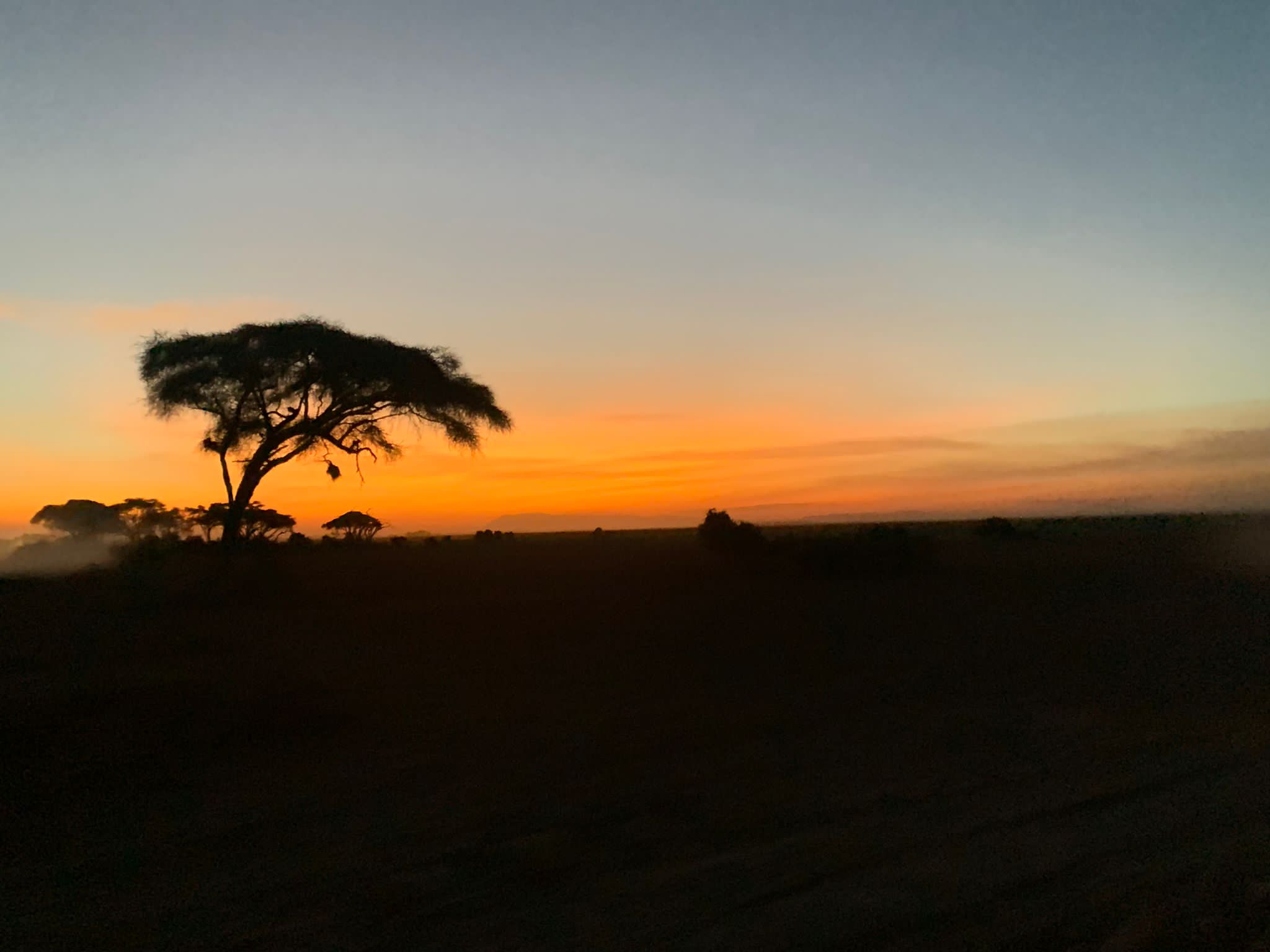 Antelope Safari